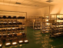 старо тестване